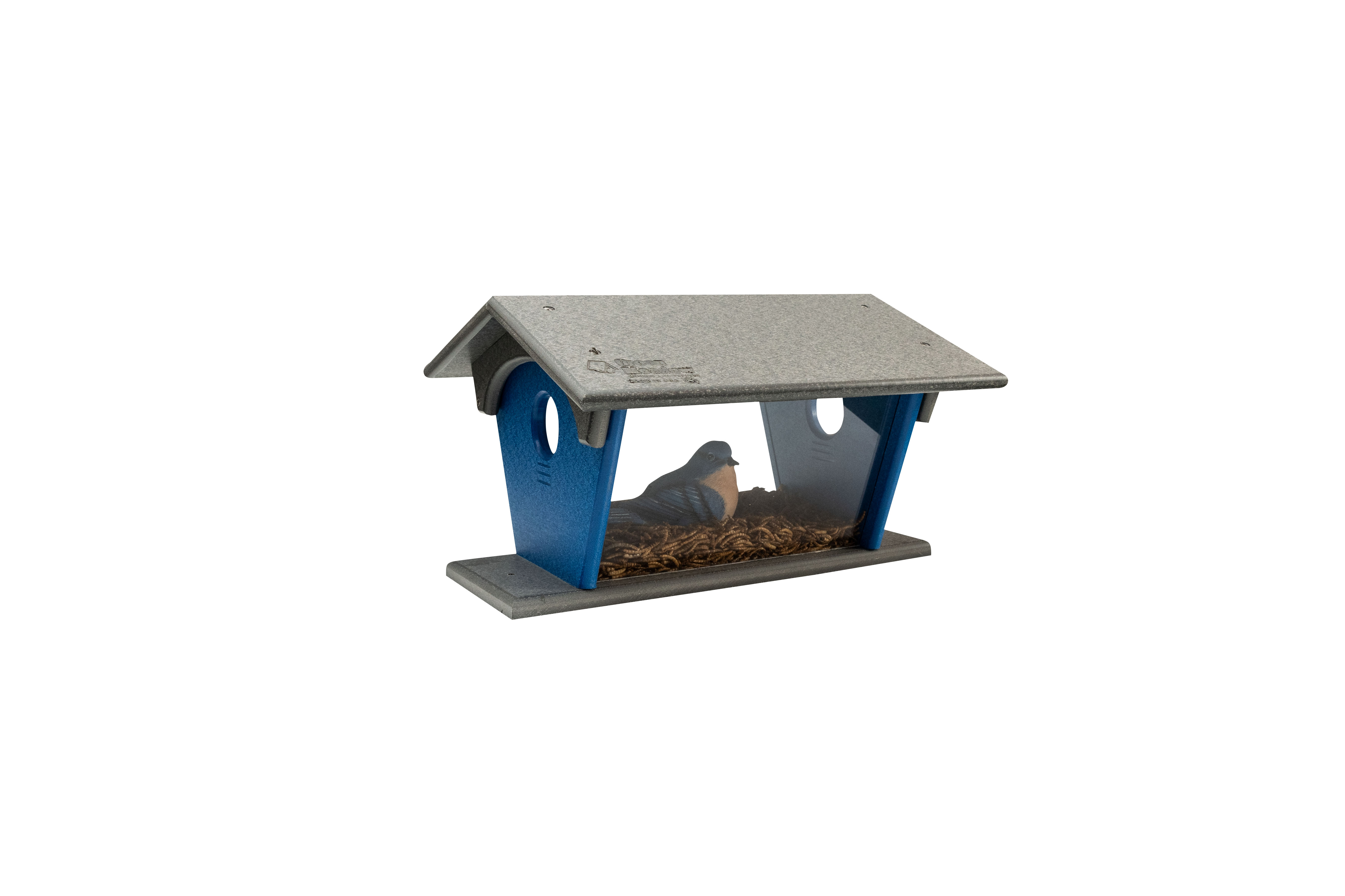 Bluebird Feeder 1